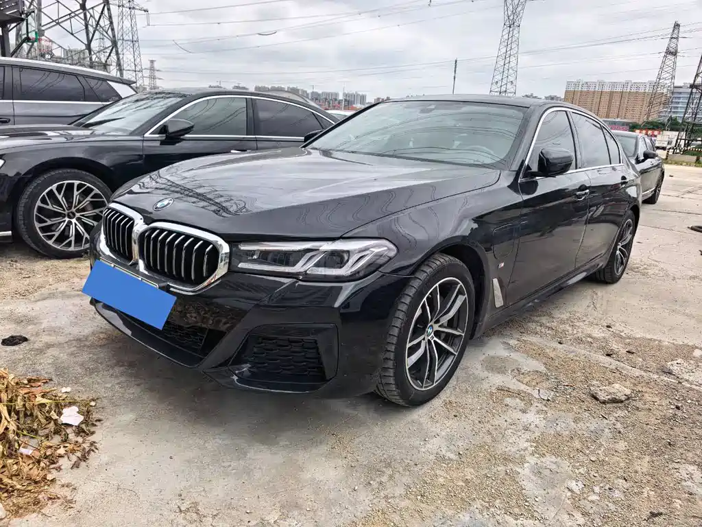 BMW 5 Series New Energy 2020 — фото 1