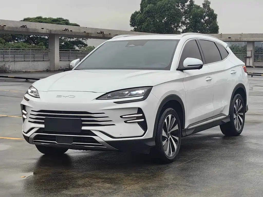 BYD PLUS New Energy 2024 — фото 1