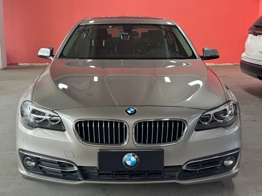 BMW 5 Series 2014 — фото 2