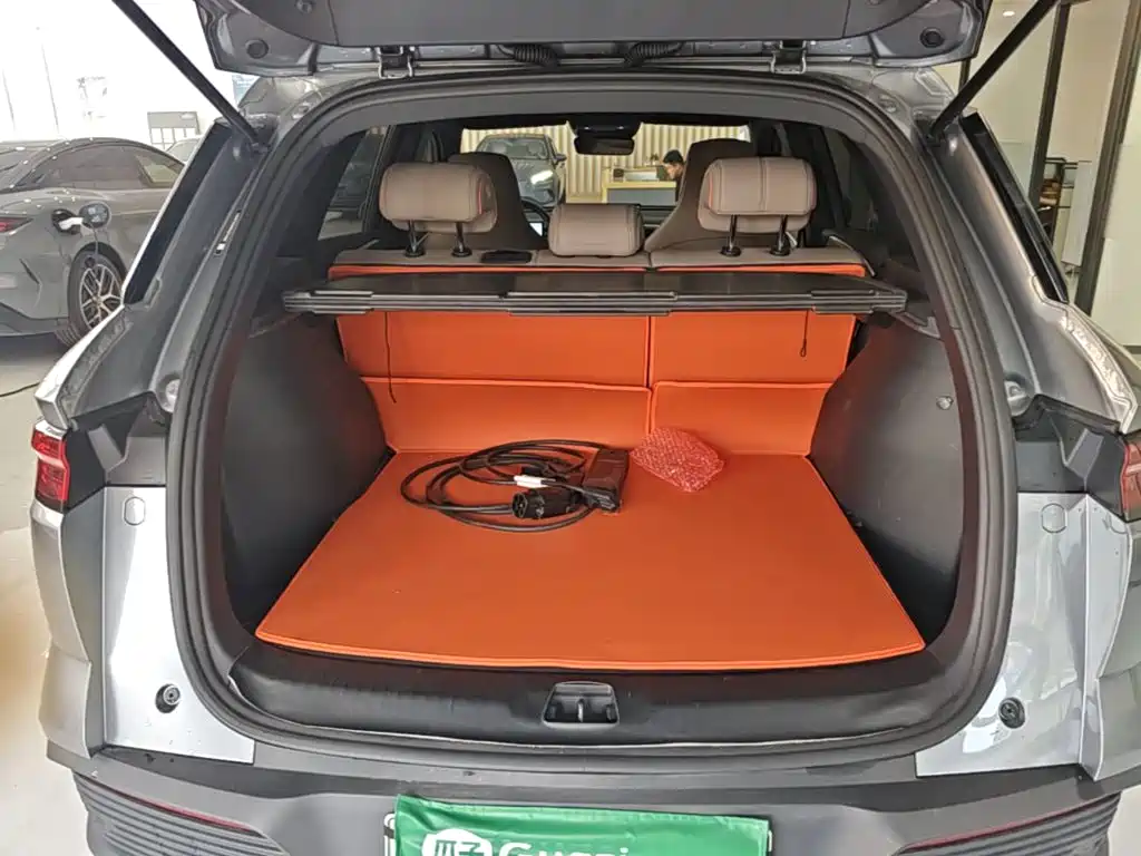 BYD Pro New Energy 2025 — фото 19