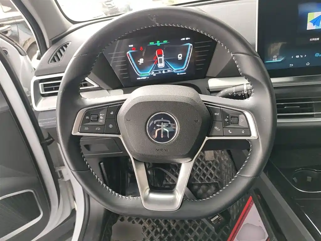 BYD Pro New Energy 2020 — фото 11