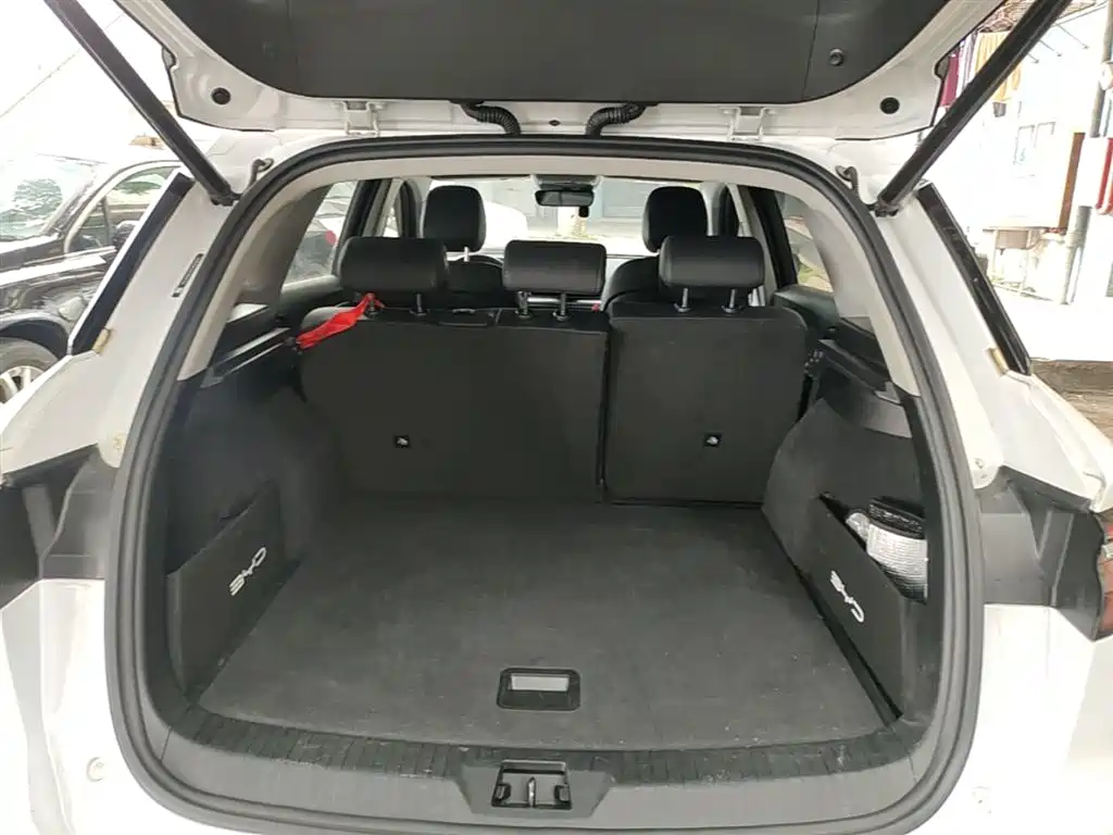 BYD Pro New Energy 2020 — фото 19