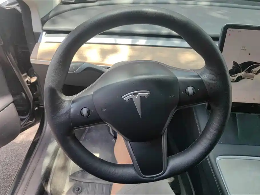 Tesla Model 3 2021 — фото 15