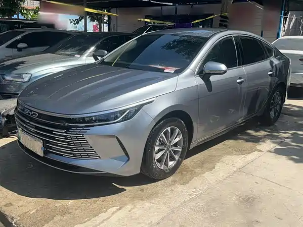 BYD Destroyer 05 2024