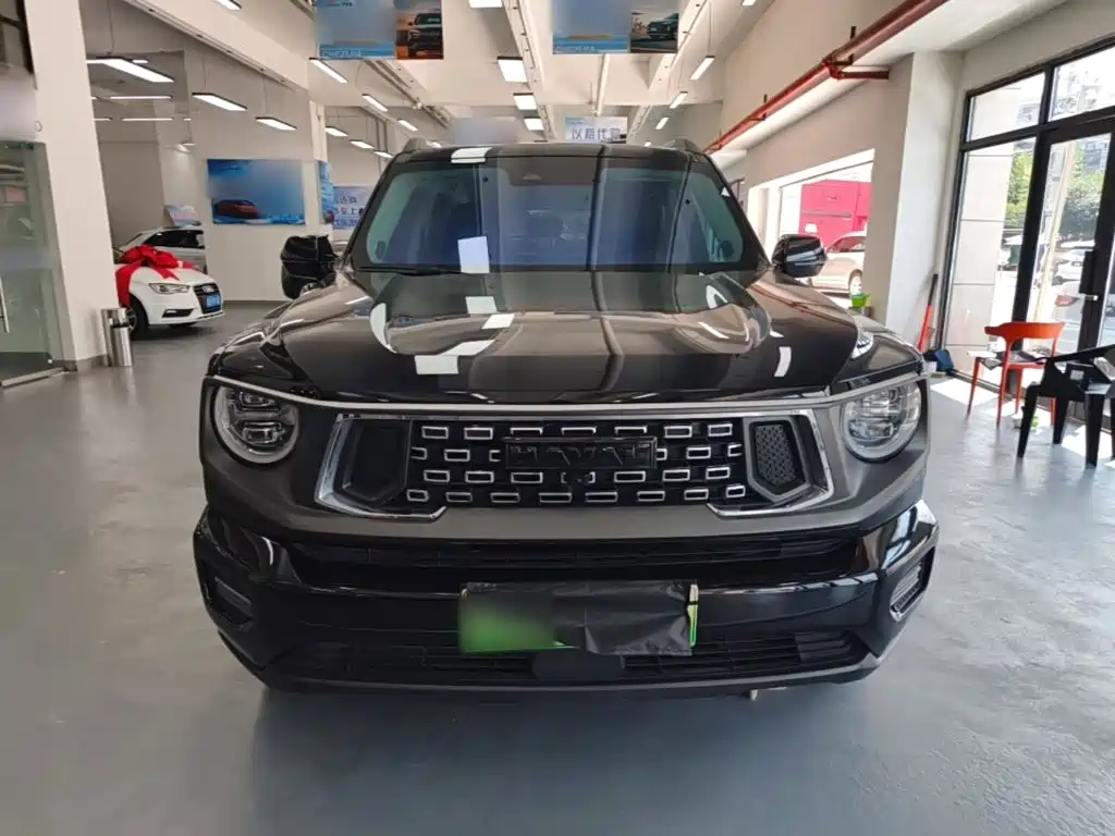 Haval Big Dog PLUS New Energy 2023 — фото 3