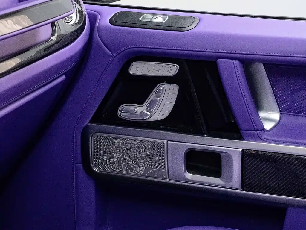 Mercedes-Benz G-Class 2010 — фото 23