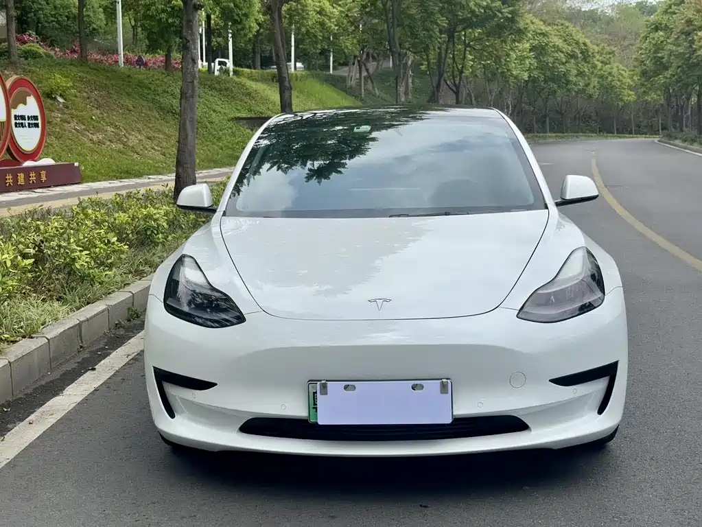 Tesla Model 3 2021 — фото 2