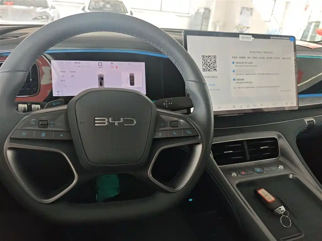 BYD Sealion 07 DM-i 2025 — фото 10