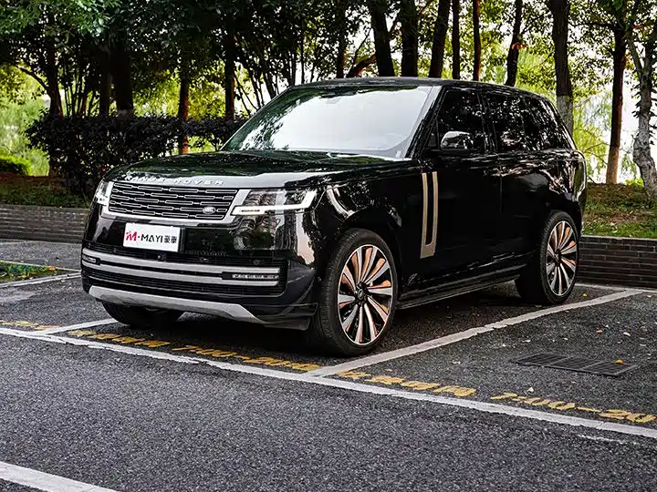 Land Rover Range Rover 2024 — фото 6