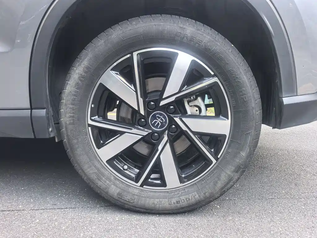 BYD Pro New Energy 2024 — фото 24