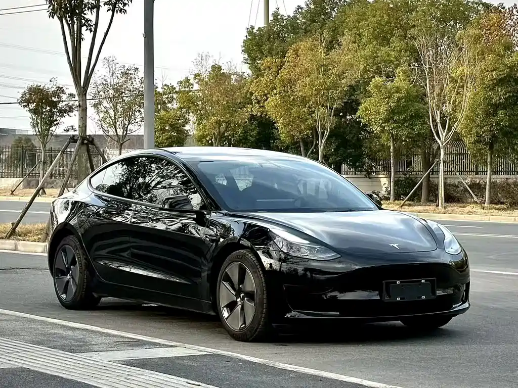 Tesla Model 3 2022 — фото 2