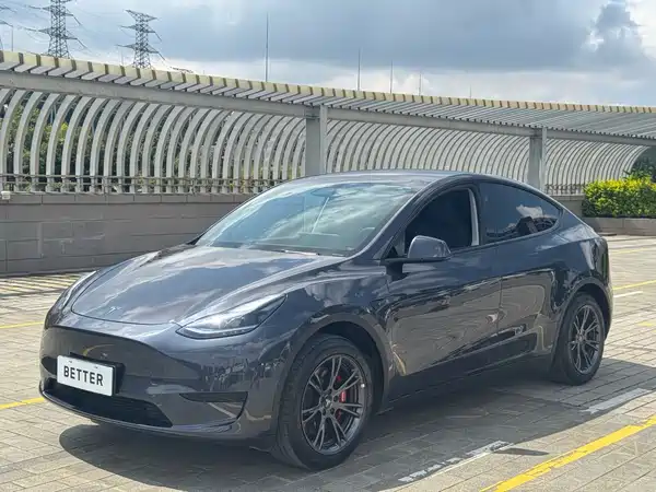 Tesla Model Y 2024