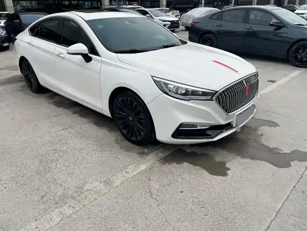 Hongqi H5 2020