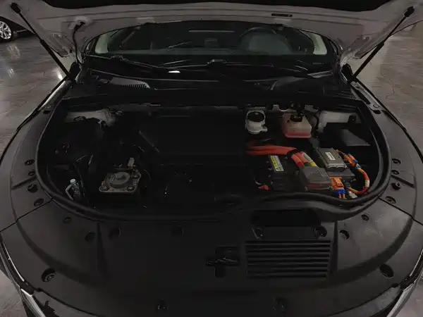 BYD Tang New Energy 2019