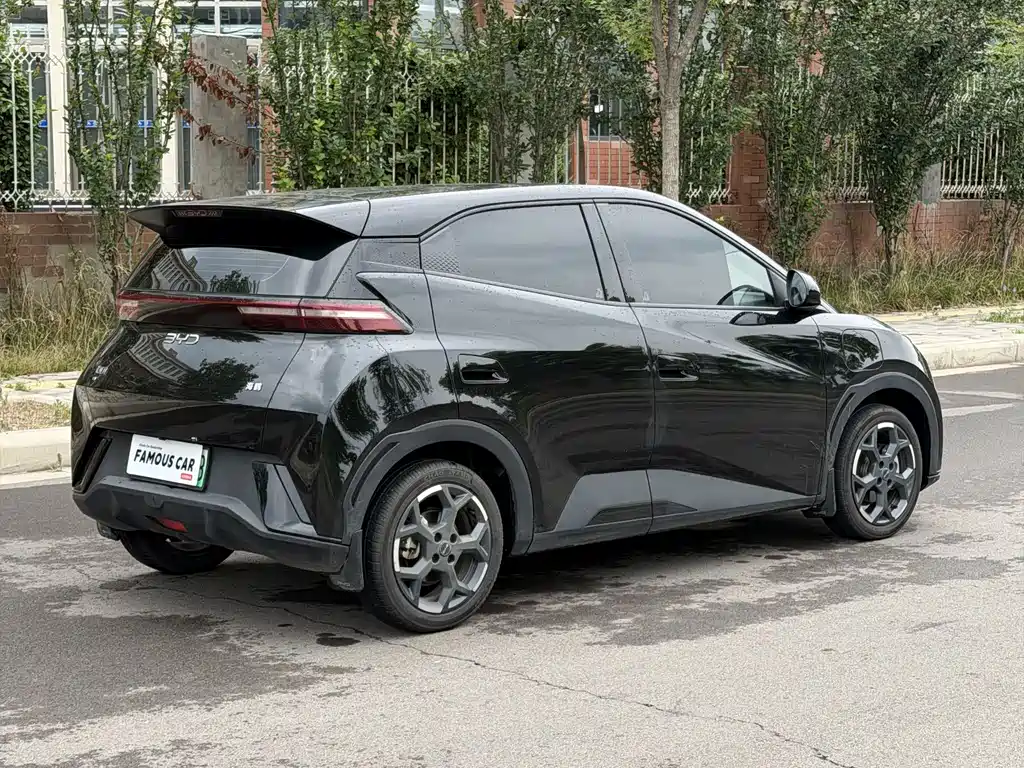 BYD Seagull 2024
