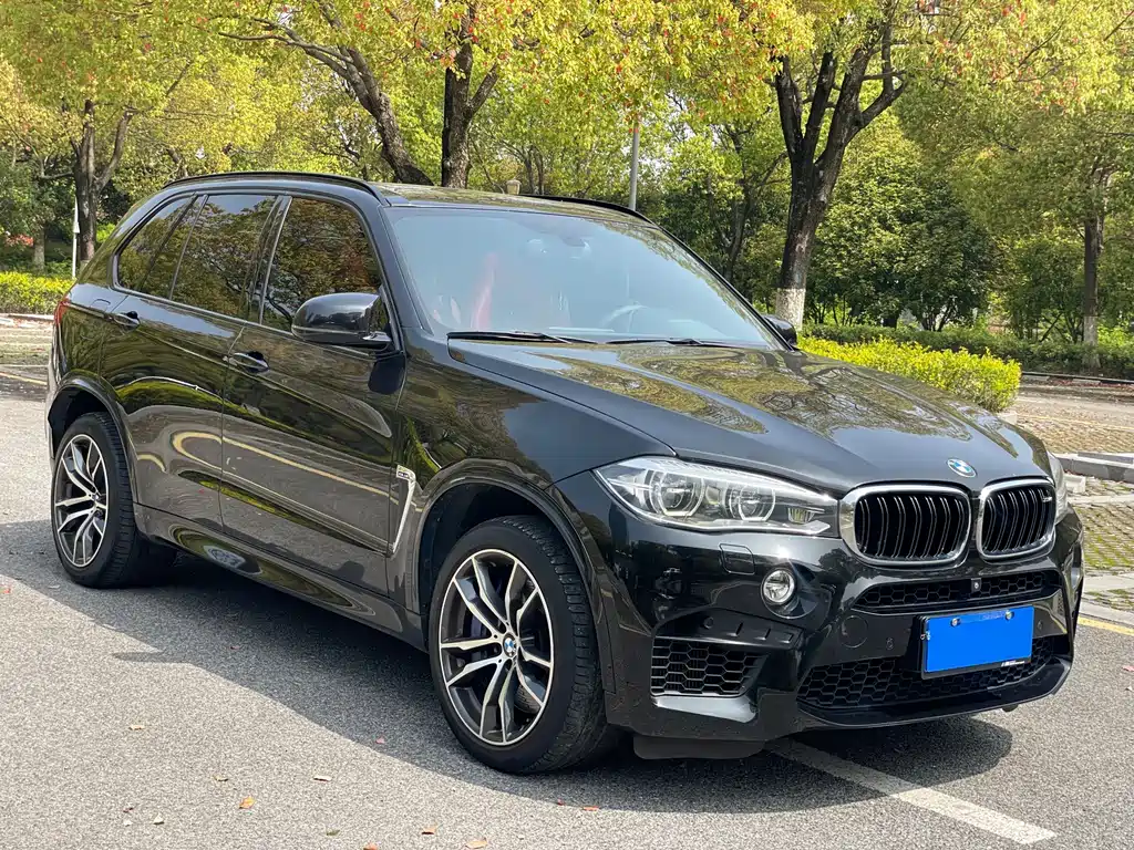 BMW X5 M 2016 — фото 14