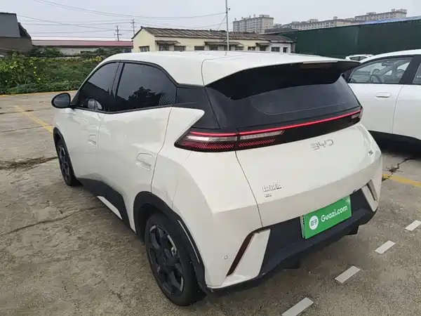 BYD Seagull 2024