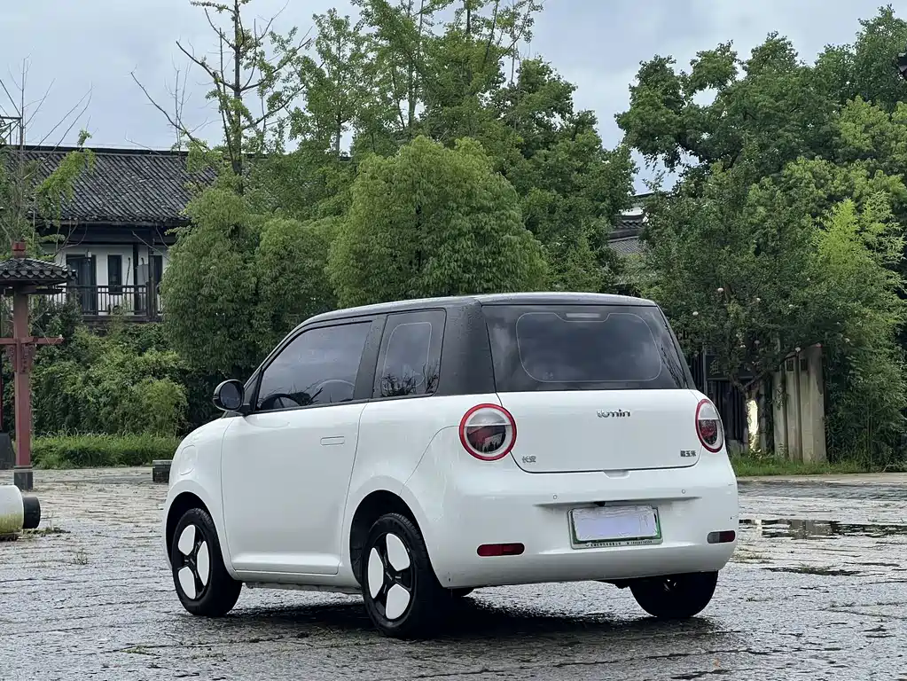 Qiyuan Lumin 2025