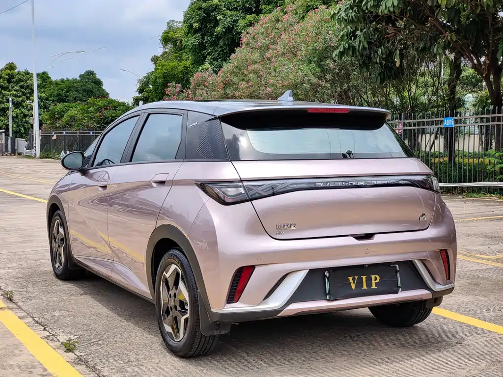BYD Dolphin 2022
