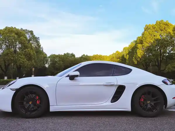 Porsche 718 2020