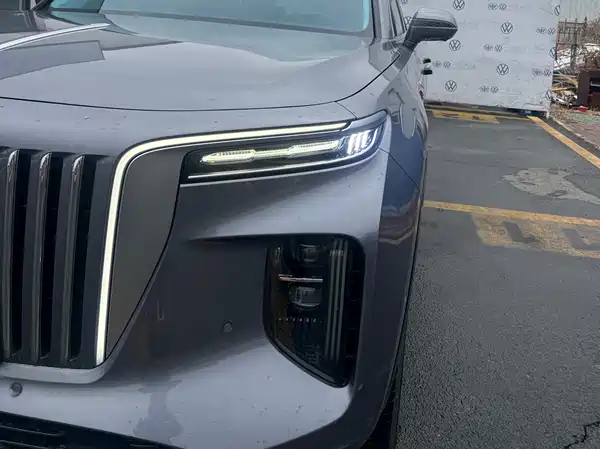 Hongqi E-HS9 2022