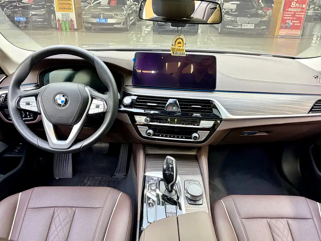 BMW 5 Series New Energy 2021