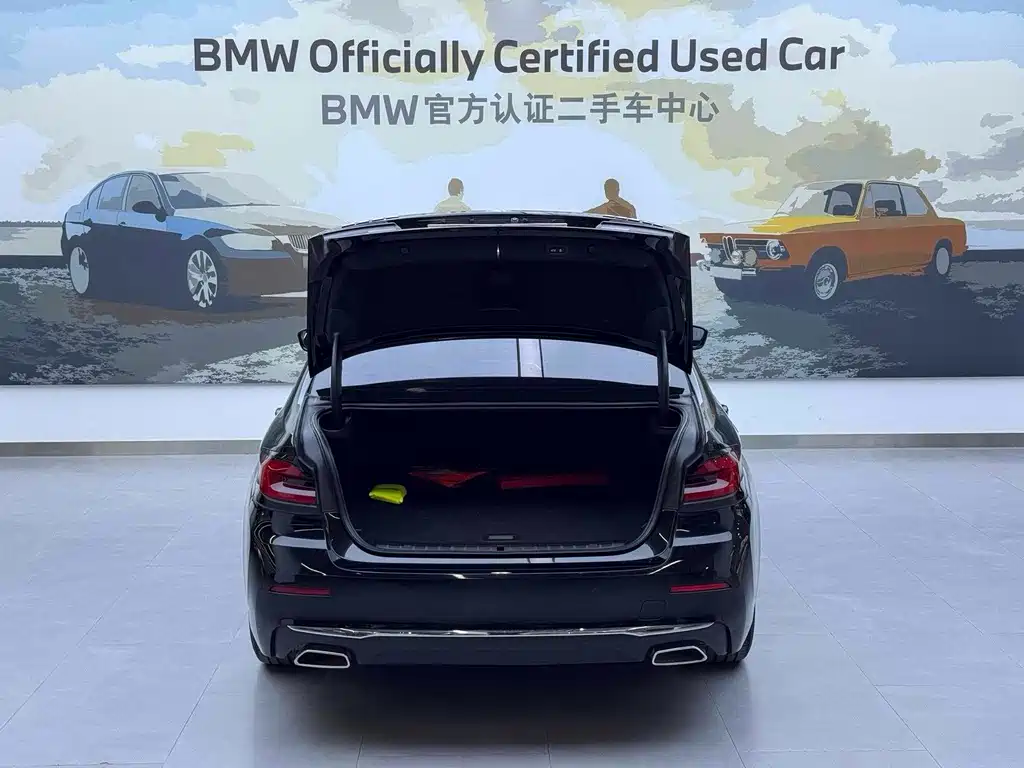 BMW 5 Series New Energy 2020