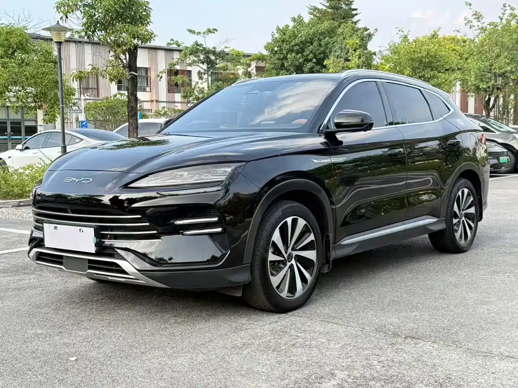 BYD Song PLUS New Energy 2024 — фото 1
