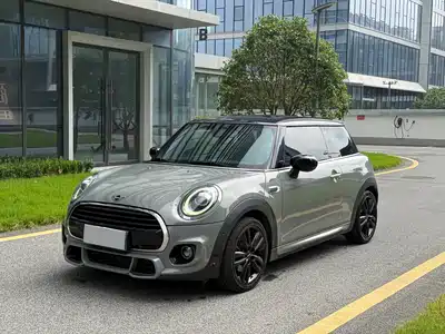 MINI MINI 2021