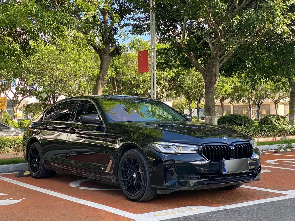 BMW 5 Series 2021