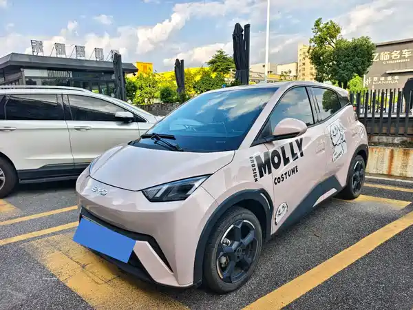 BYD Seagull 2024
