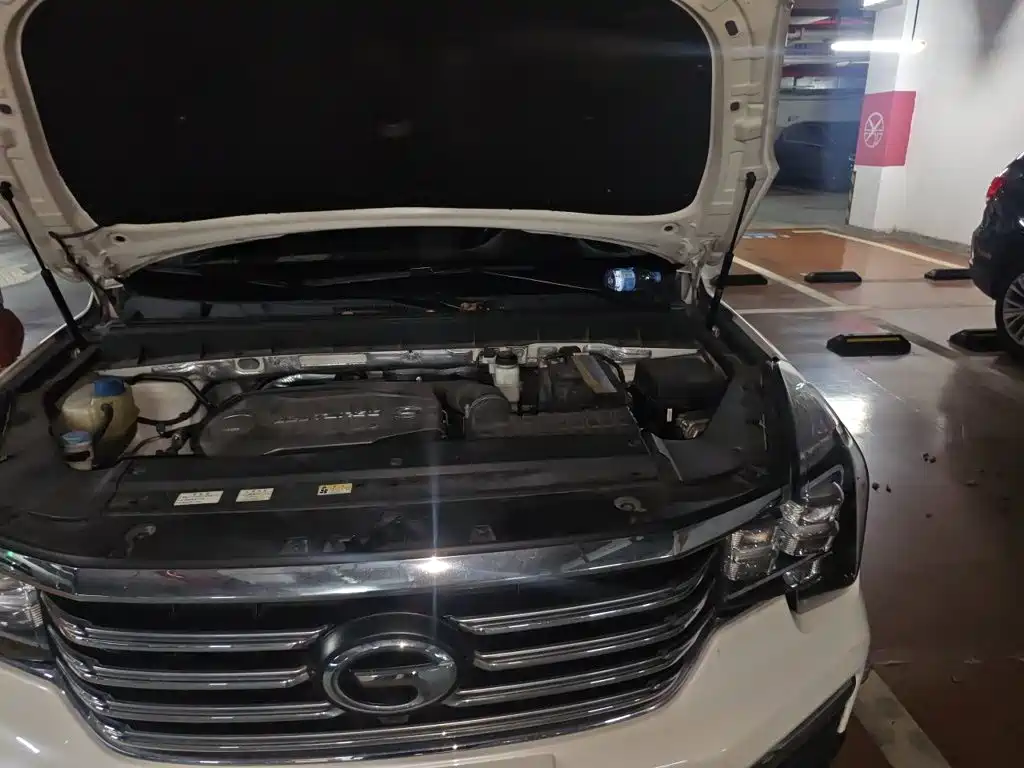 GAC Trumpchi GS8 2017 — фото 22