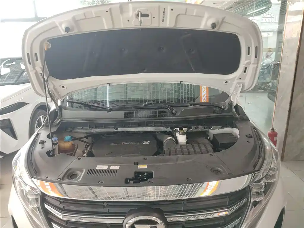 GAC Motor Trumpchi M8 2021 — фото 10