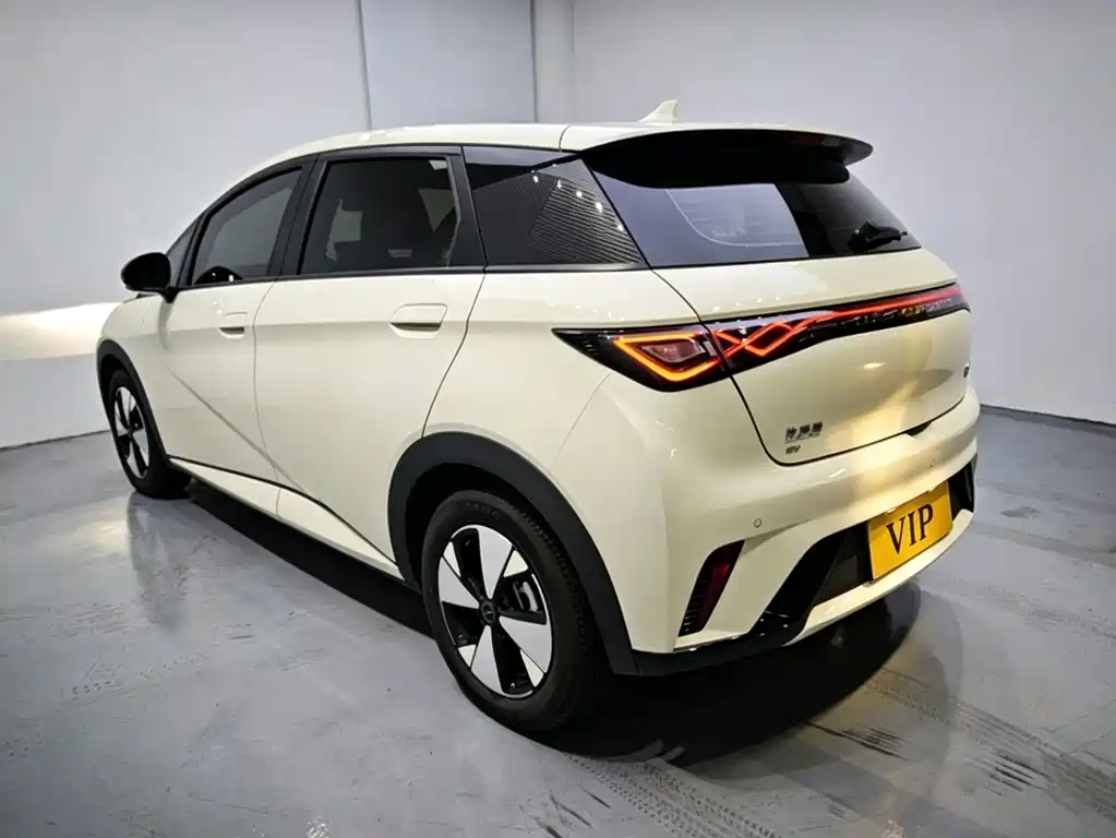 BYD Dolphin 2024