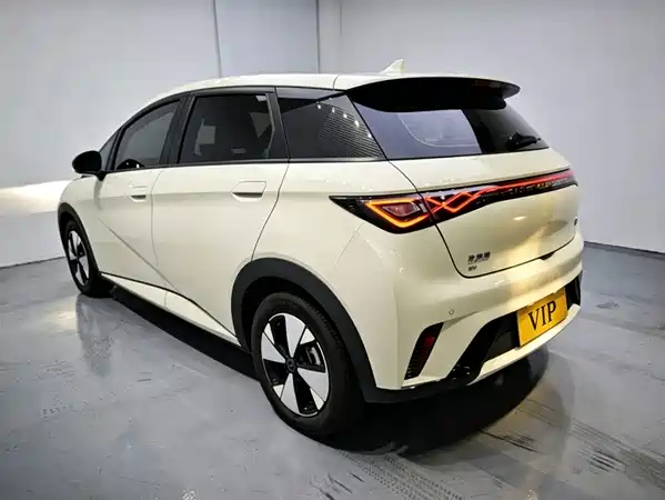 BYD Dolphin 2024