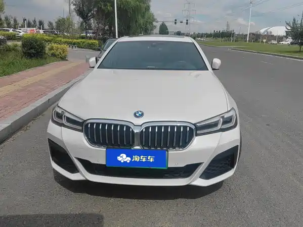 BMW 5 Series New Energy 2022