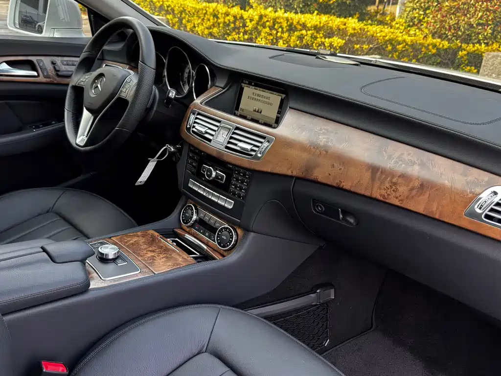 Mercedes-Benz CLS 2015 — фото 17