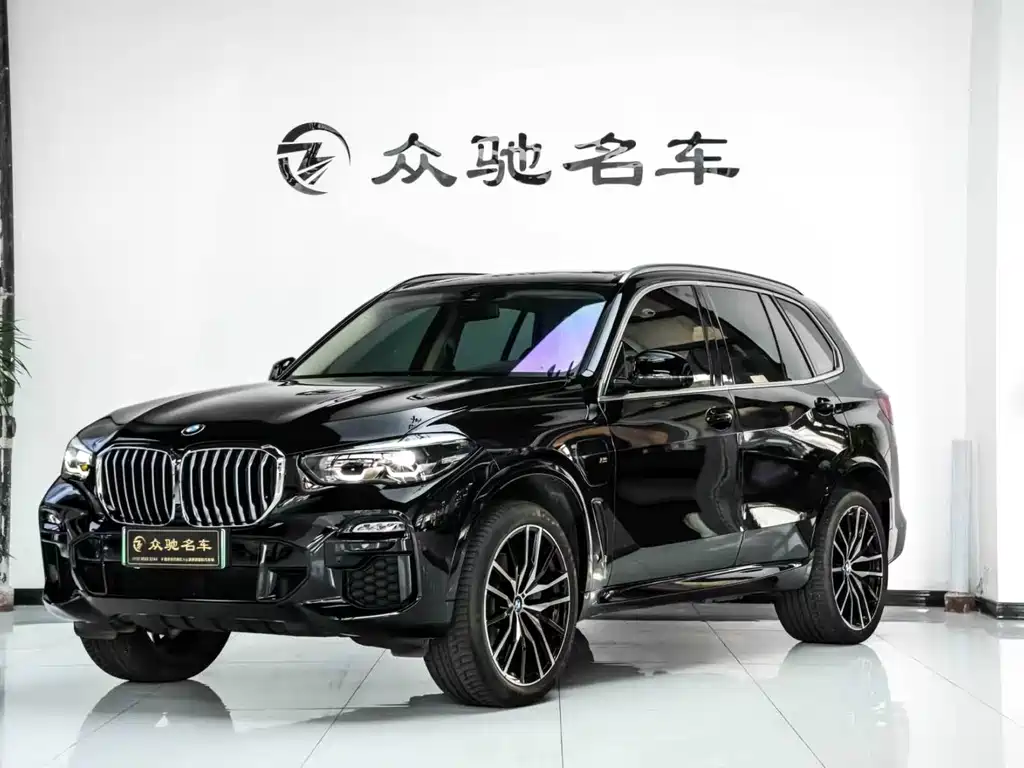 BMW X5 New Energy 2020