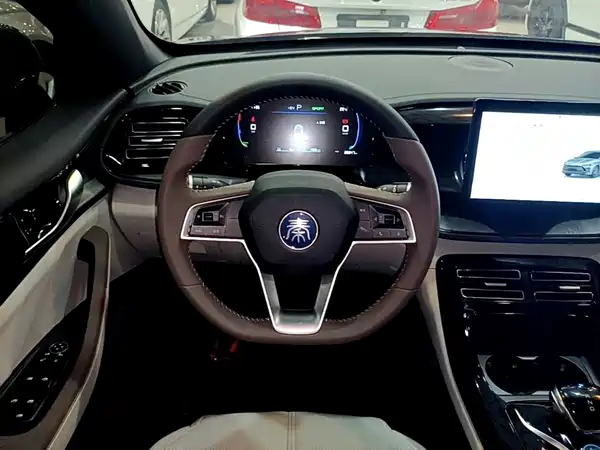 BYD Qin PLUS 2024
