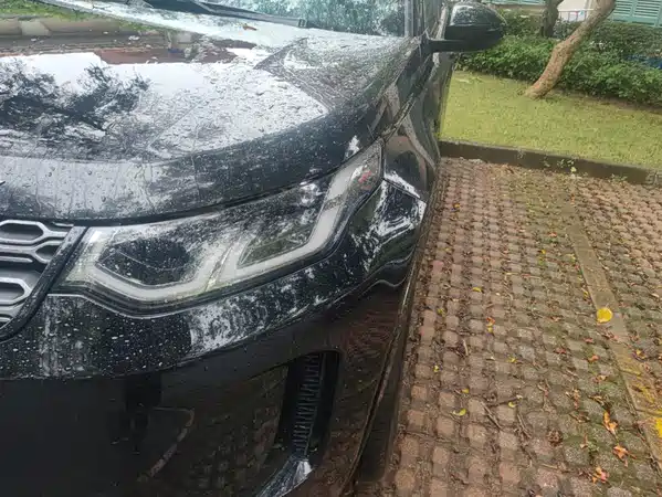 Land Rover Discovery Sport 2021