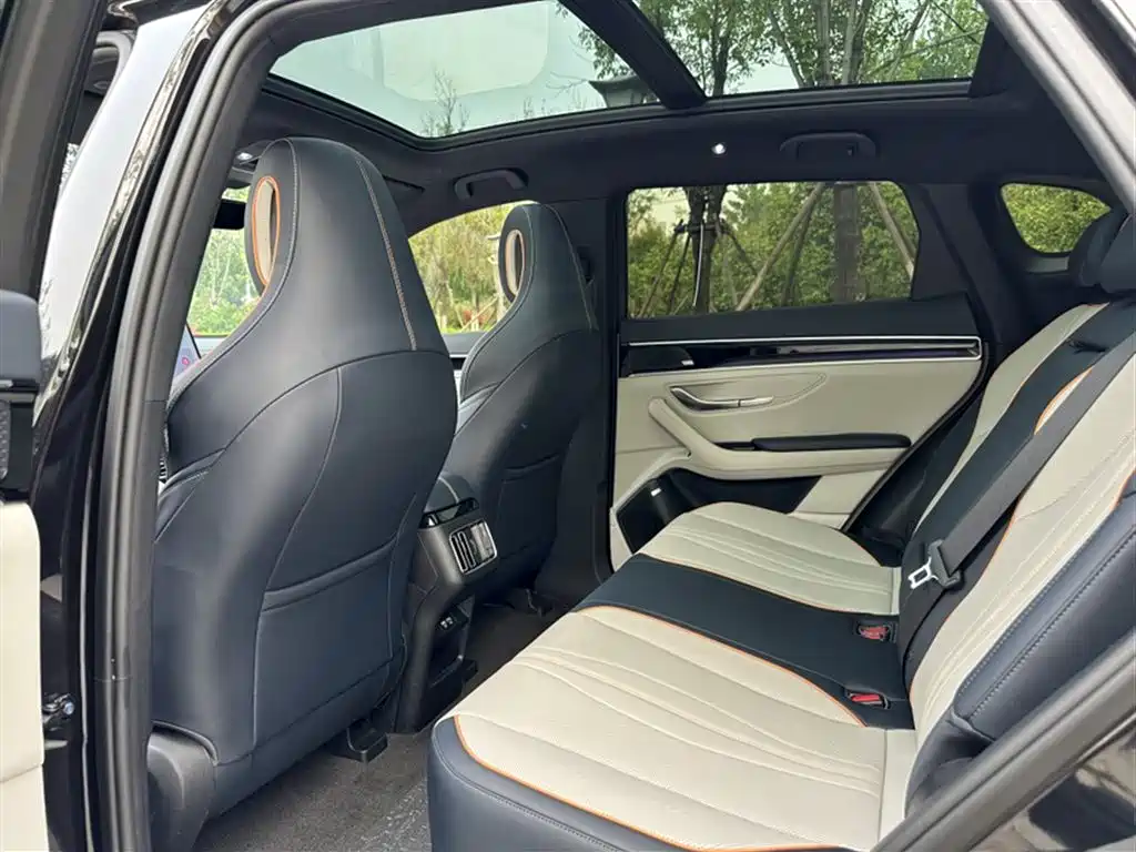 BYD PLUS New Energy 2023 — фото 20