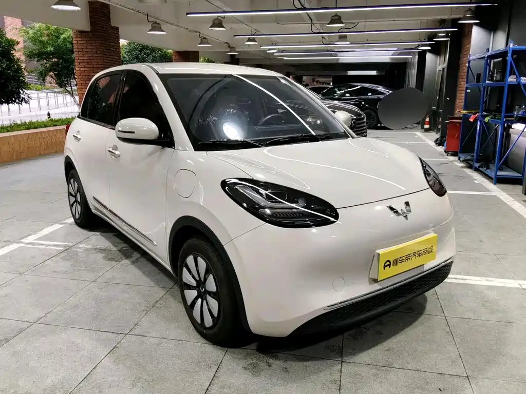 Wuling Bingo 2024