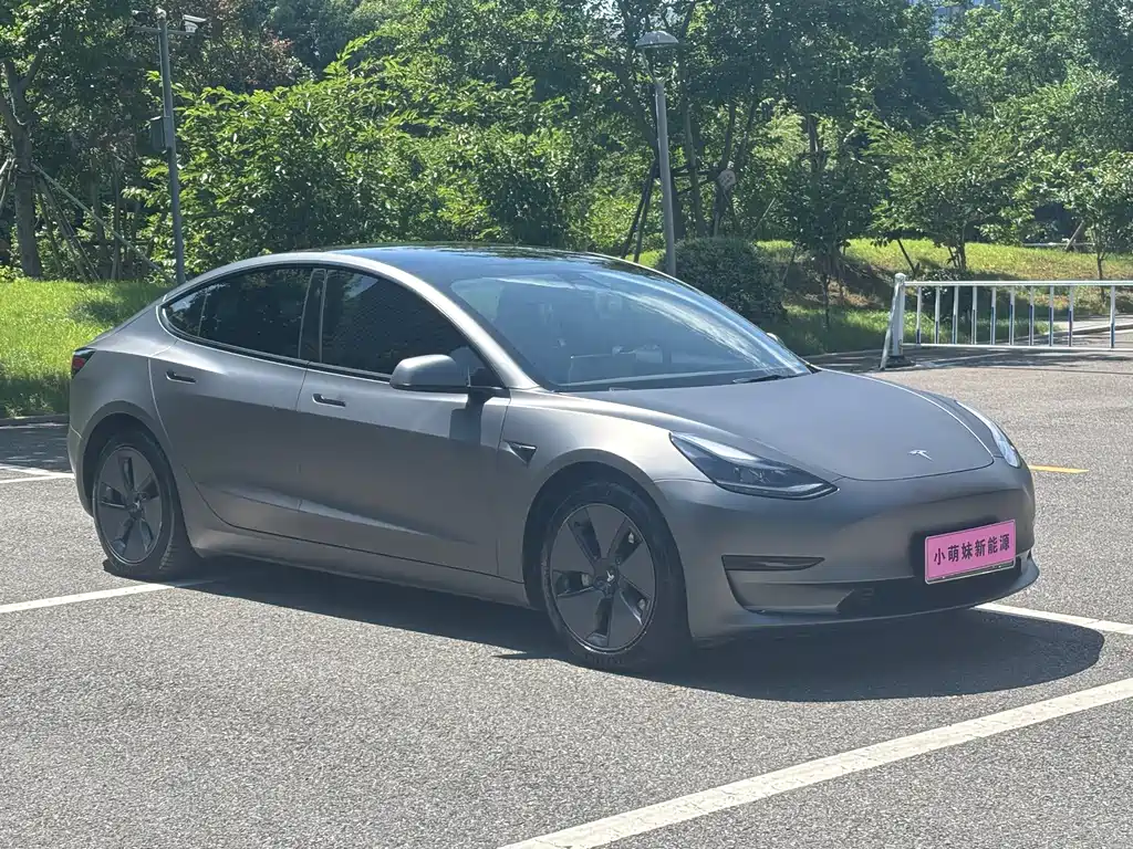 Tesla Model 3 2021