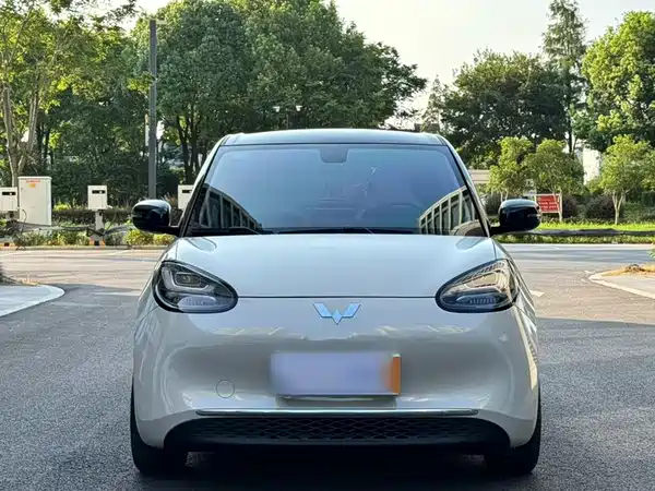 Wuling Bingo 2024