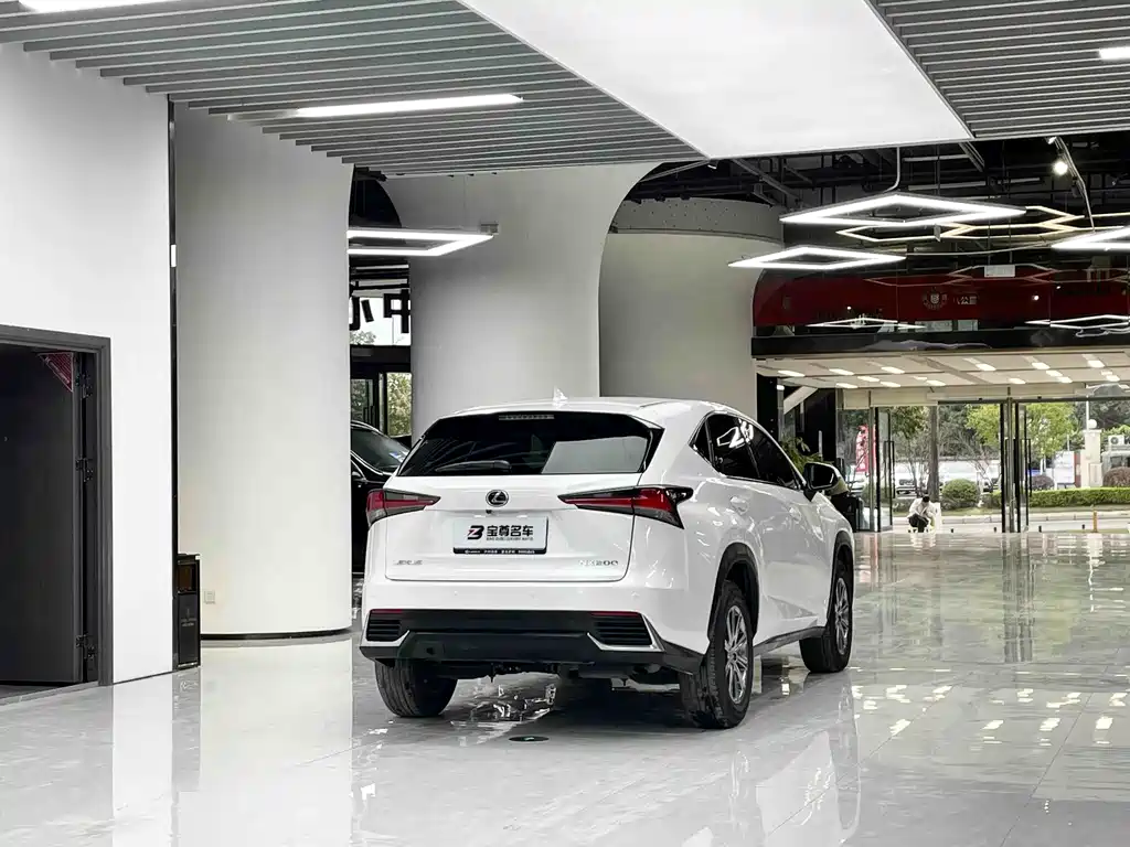 Lexus NX 2020 — фото 11