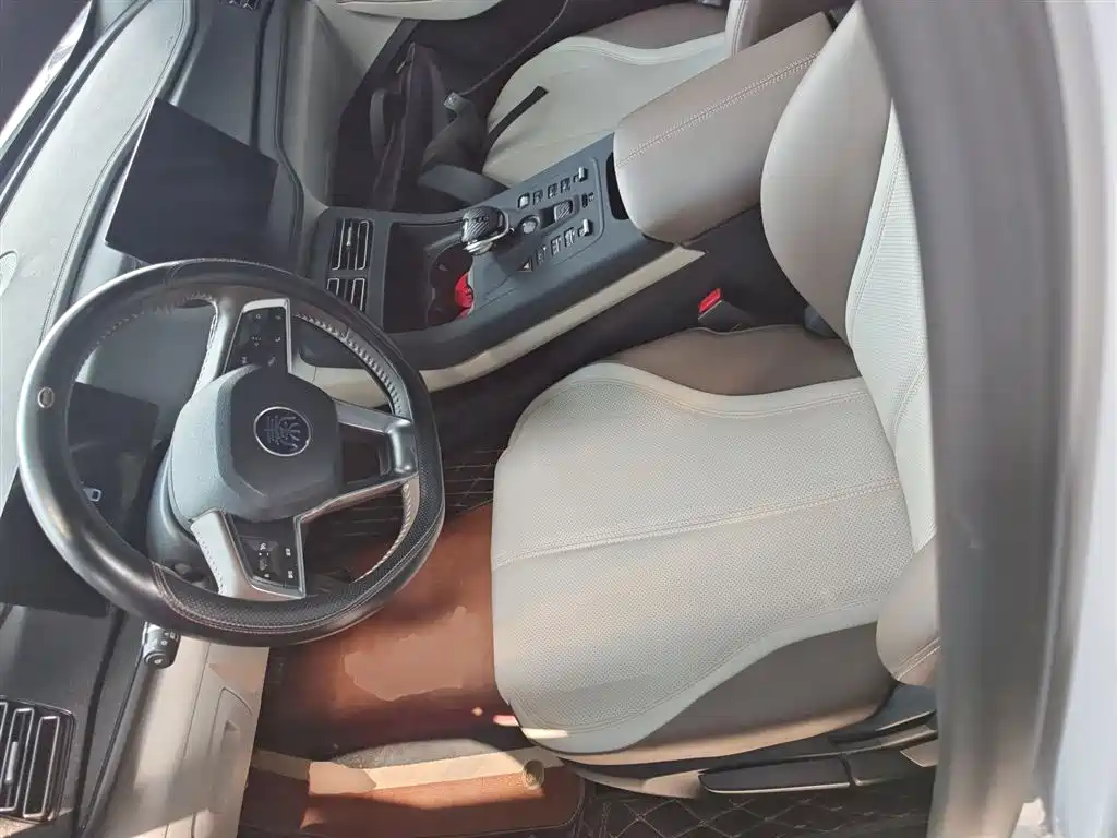 BYD Qin PLUS 2024 — фото 15