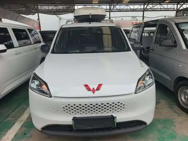 Wuling Hongguang New Energy 2025