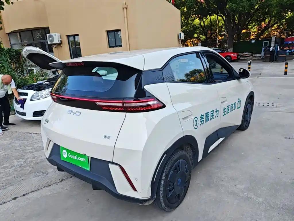 BYD Seagull 2024