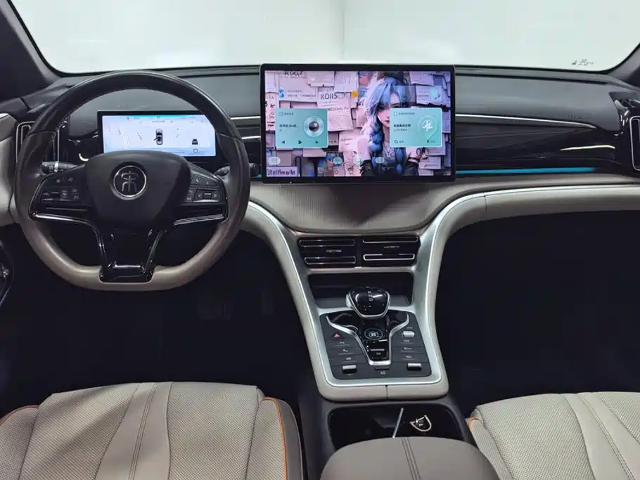 BYD Song Pro New Energy 2024 — фото 12