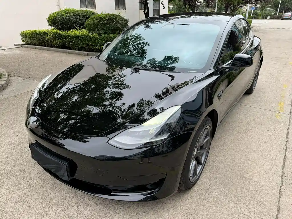 Tesla Model 3 2021 — фото 1